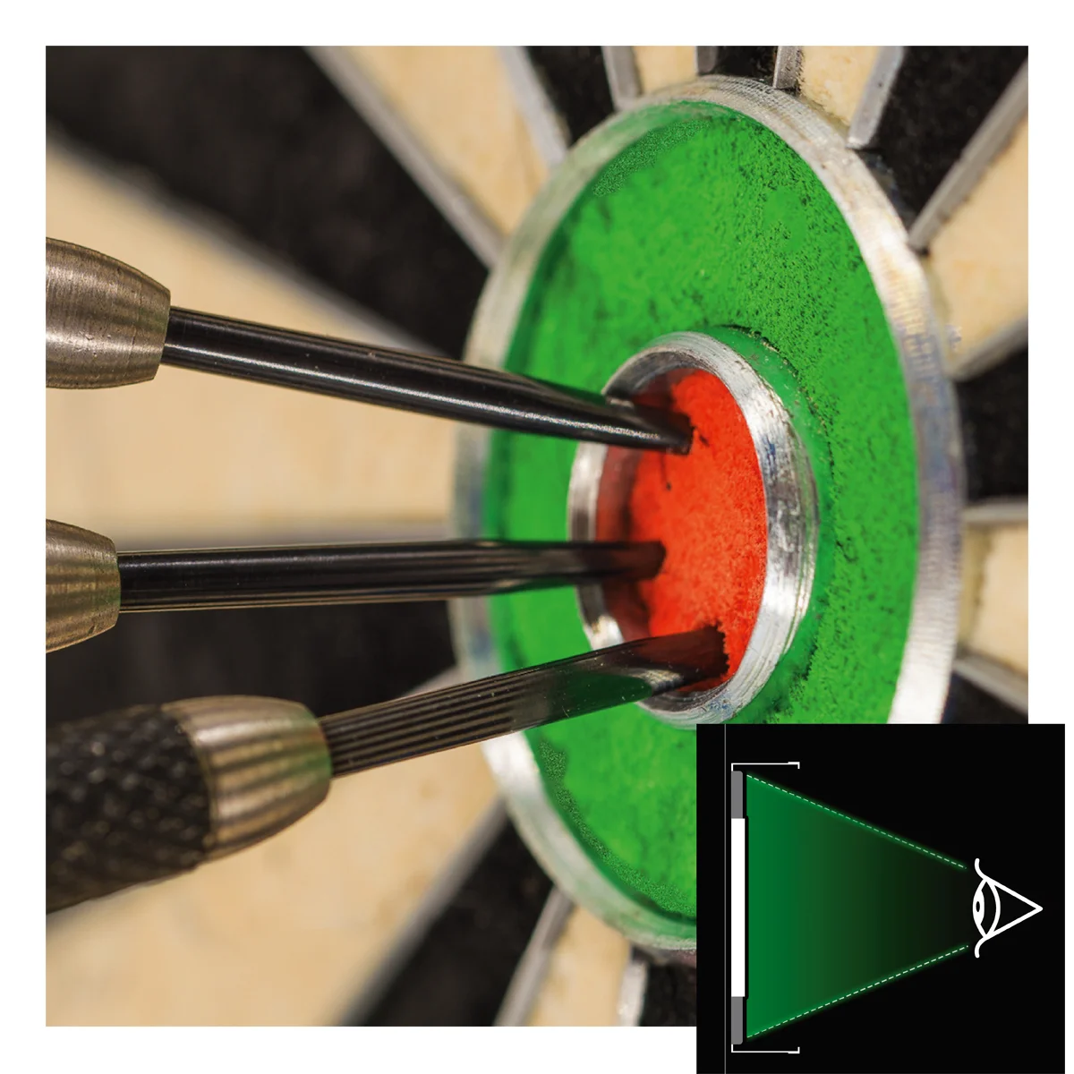 Winmau Plasma Black LED-Ring in Detailansicht mit 132 warmweißen LEDs