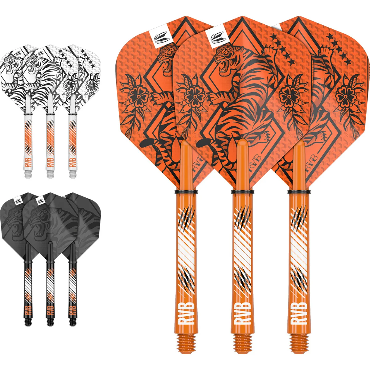 Raymond van Barneveld - INK Flight & Shaft Bundle Raymond van Barneveld - INK Flight & Shaft Bundle