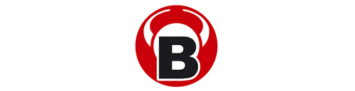 Bulls Bulls