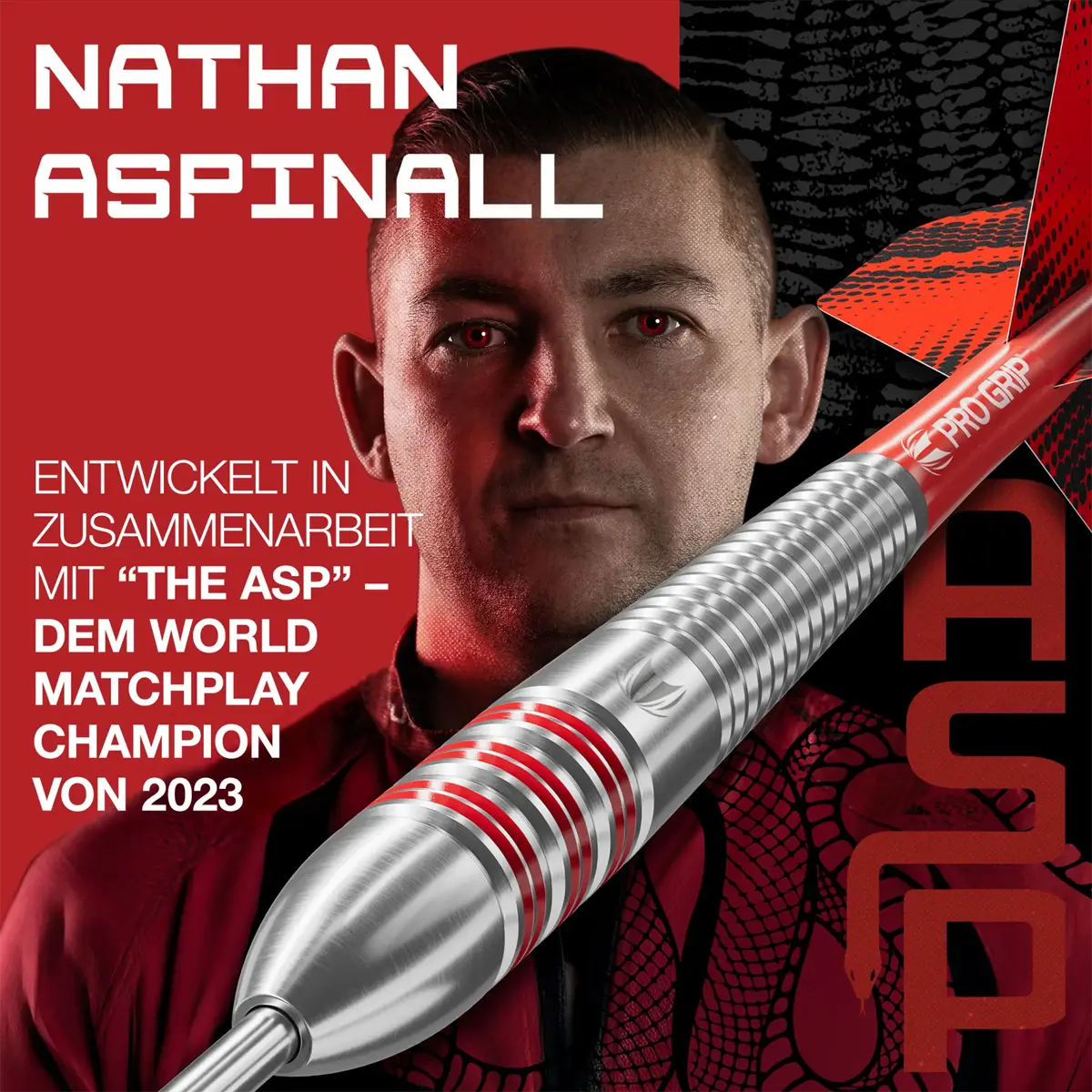 Target Nathan Aspinall Brass Steeldarts 22g Spielerdesign mit Barrel und Nathan Aspinall Motiv